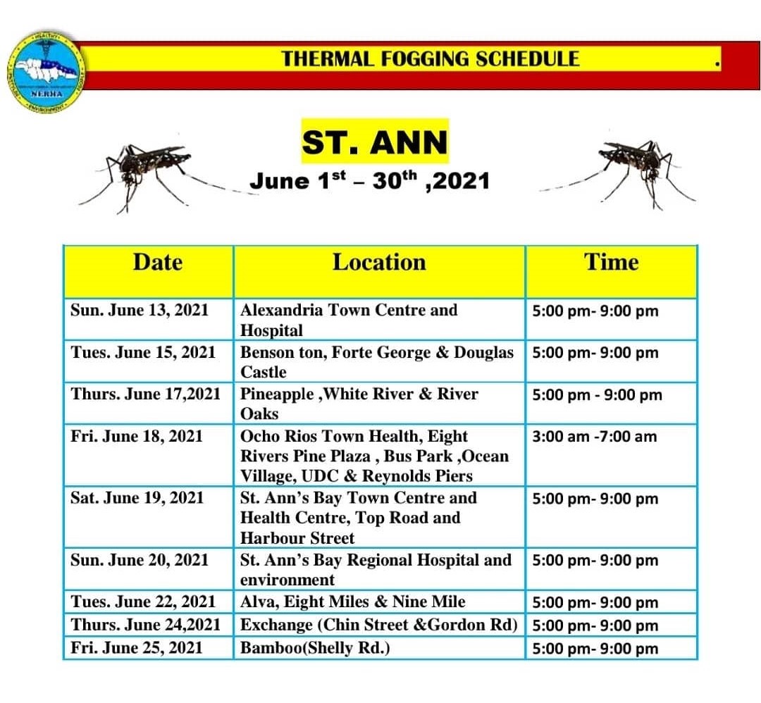 St Ann schedule