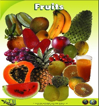 fruits